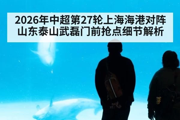 2026年中超第27轮上海海港对阵山东泰山武磊门前抢点细节解析